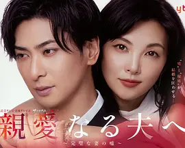 致亲爱的丈夫~完美妻子的谎言~