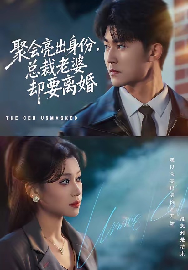 聚会亮出身份，总裁老婆却要离婚(全集)